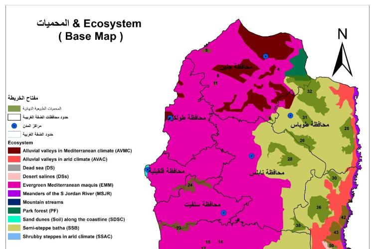 BERC published a new article on the representation of natural ecosystem units in Palestine 